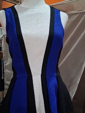 H&M Blue, White & Black Sleeveless Fit-and-Flare Mini Dress
